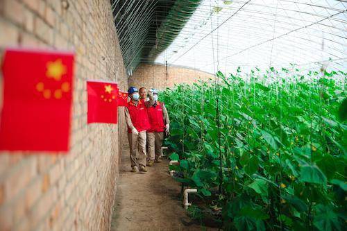 8天尽管玩 我在就有电 ta们是国庆节最美国网人